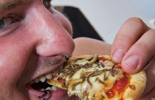 World's Craziest Pizzas
